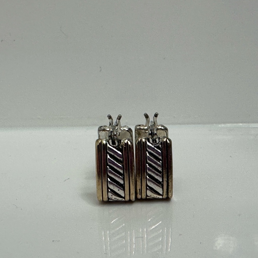 Silver and Gold Hoop Earrings